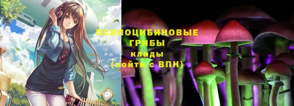 дурь Бугульма
