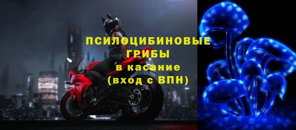 дурь Бугульма