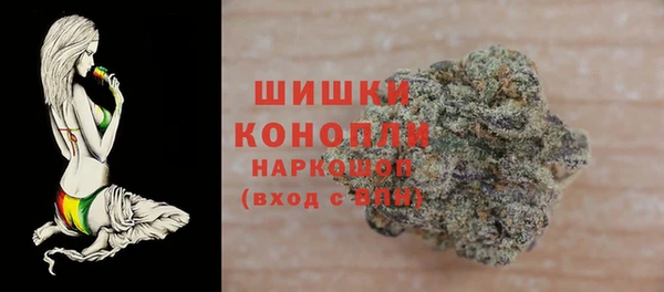 тгк Бронницы