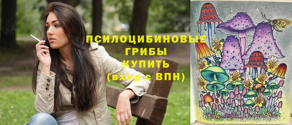 тгк Бронницы