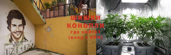 дурь Бугульма