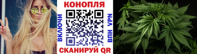 Бошки Шишки планчик  Вихоревка 